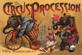 Livro - A procissão do circo