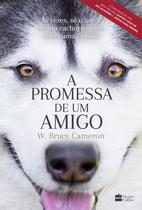 Livro - A promessa de um amigo