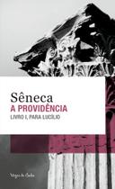 Livro - A providência - Ed. Bolso