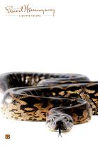 Livro - A quinta-coluna