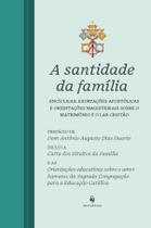 Livro - A santidade da família
