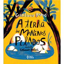 Livro - A terra dos meninos pelados