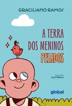 Livro - A terra dos meninos pelados