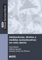 Livro - Adolescências, direitos e medidas socioeducativas em meio aberto Livro - Adolescências, direitos e medidas socioeducativas em meio aberto