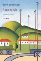 Livro - Água funda
