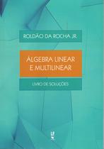 Livro - Álgebra linear e multilinear: Livro de soluções
