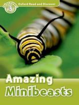 Livro - Amazing Minibeasts Ord (3)