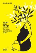 Livro - Amor que chega Livro - Amor que chega
