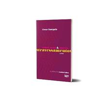 Livro - Amor, sexo e outros atravessamentos