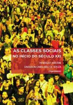 Livro - As classes sociais no início do Século XXI