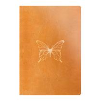 Livro - Bíblia Anote NVI letra Grande - Castanho Livro - Bíblia Anote NVI letra Grande - Castanho