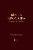 Livro - Bíblia apócrifa
