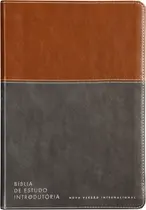 Livro - Bíblia de Estudo introdutória NVI, Capa luxo marrom e cinza chumbo, Leitura Perfeita