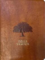 Livro - Biblia Mulheres Nvt - Uma Coluna - Figueira Caramelo