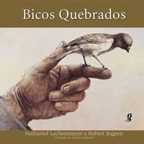Livro - Bicos quebrados