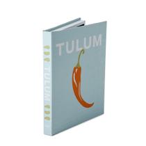 Livro Caixa Tulum