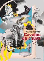 Livro - Cavalos da chuva