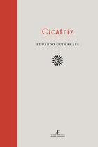 Livro - Cicatriz: 1995-2015