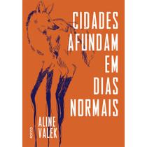 Livro - CIDADES AFUNDAM EM DIAS NORMAIS
