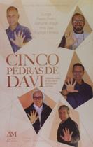 Livro - Cinco pedras de Davi
