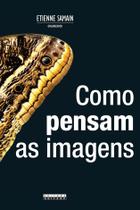 Livro - Como pensam as imagens Livro - Como pensam as imagens