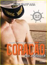 livro: Coração em chamas -viajando com rockstars - spin-off