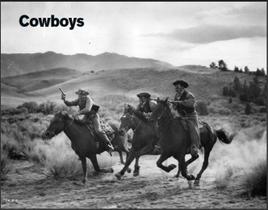 Livro - Cowboys