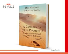 Livro Cristão A Caminho da Terra Prometida - Prof. Felipe Aquino