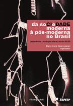 Livro - Da sociedade Moderna à Pós-moderna no Brasil