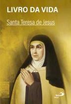 Livro da vida - bolso simples