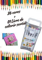 Livro de Colorir + Canetinhas 36, 48 ou 60 cores acrilica ou 36 ou 80 cores touch preta Bobi guds 50 Folhas Caderno de D