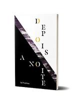 Livro - Depois a noite Livro - Depois a noite