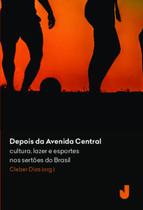 Livro - Depois da Avenida Central