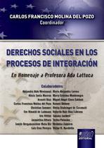 Livro - Derechos Sociales en los Procesos de Integración