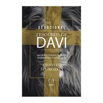 Livro - Devocional tesouros de davi - lion cruz