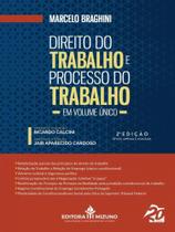 Livro Direito do Trabalho e Processo do Trabalho - 2ª Edição Trabalhista