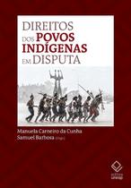 Livro - Direitos dos povos indígenas em disputa