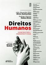 Livro - DIREITOS HUMANOS - CONTEXTOS E PERSPECTIVAS - 1ª ED - 2022