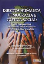 Livro - Direitos humanos, democracia e justiça social