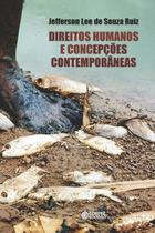 Livro - Direitos humanos e concepções contemporâneas