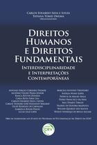 Livro - Direitos humanos e direitos fundamentais