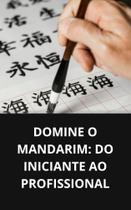 Livro Domine o Mandarim Do Iniciante ao Profissional