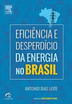 Livro - Eficiência e desperdício da energia no Brasil