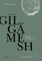 Livro - Ele que o abismo viu: Epopeia de Gilgámesh