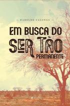 Livro - Em busca do ser tão permanente - Viseu