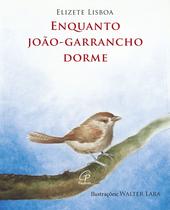 Livro - Enquanto João Garrancho dorme - com braile