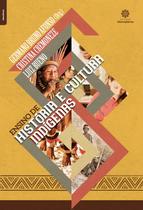 Livro - Ensino de história e cultura indígenas