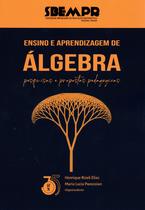 Livro - Ensino e aprendizagem de álgebra: pesquisas e propostas pedagógicas Livro - Ensino e aprendizagem de álgebra: pesquisas e propostas pedagógicas
