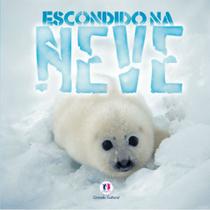 Livro - Escondido na neve