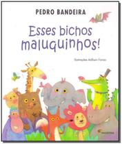 Livro - Esses bichos maluquinhos! Livro - Esses bichos maluquinhos!